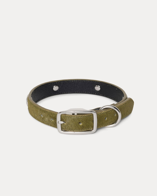 STUDDED DOG COLLAR