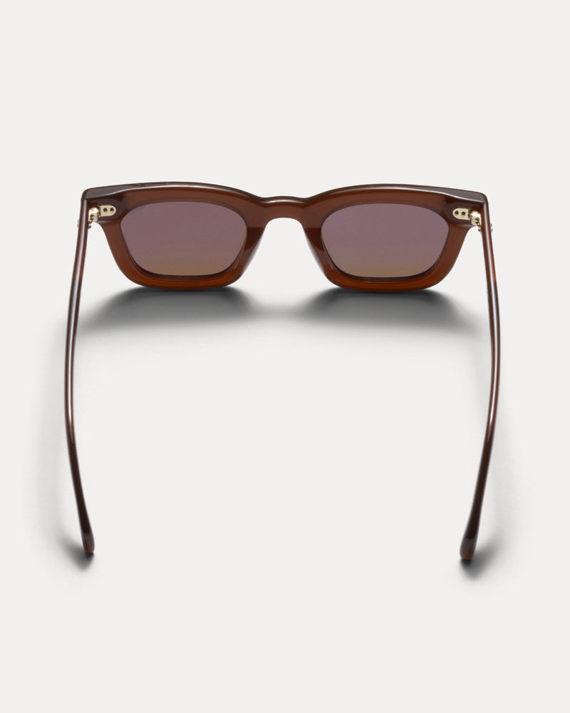 ACE SUNGLASSES