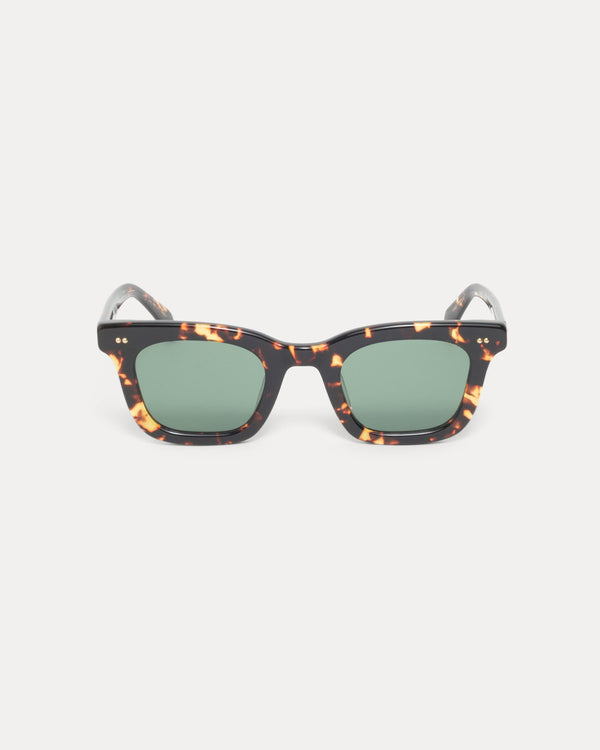 ACE SUNGLASSES