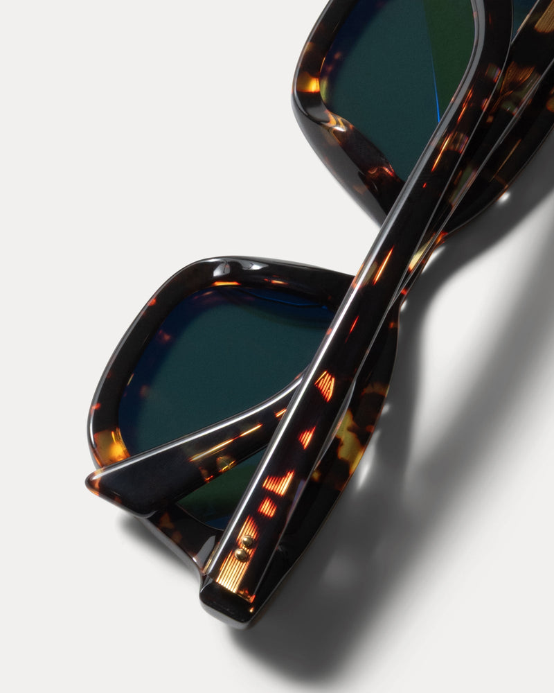 ACE SUNGLASSES